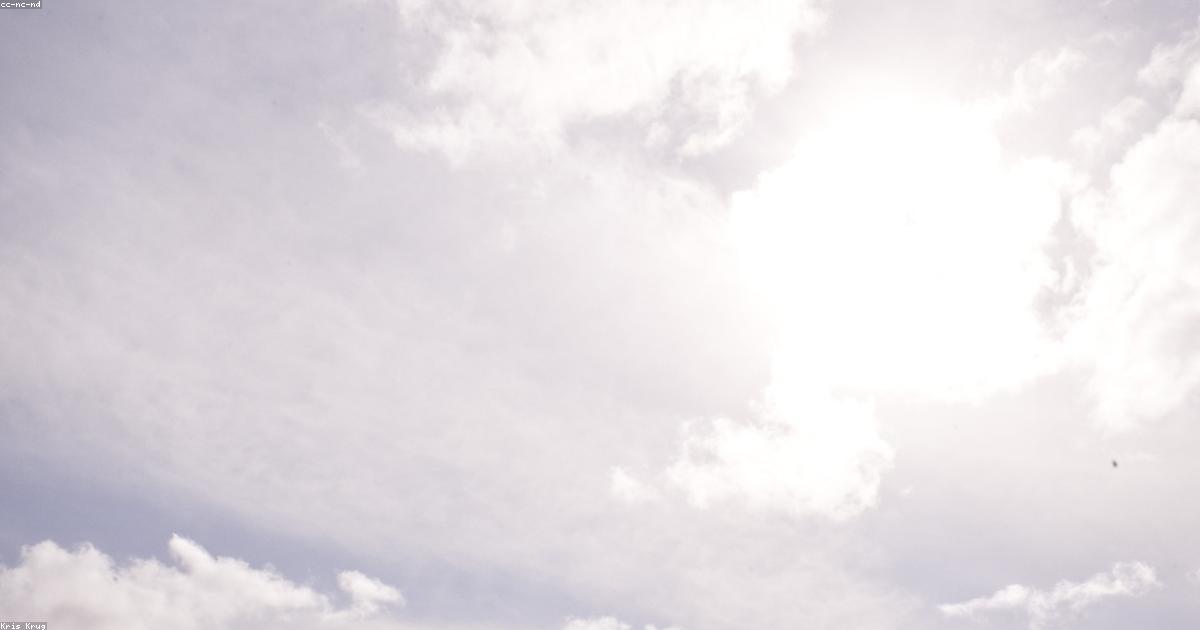 Vela al tramonto: momenti indimenticabili in mare