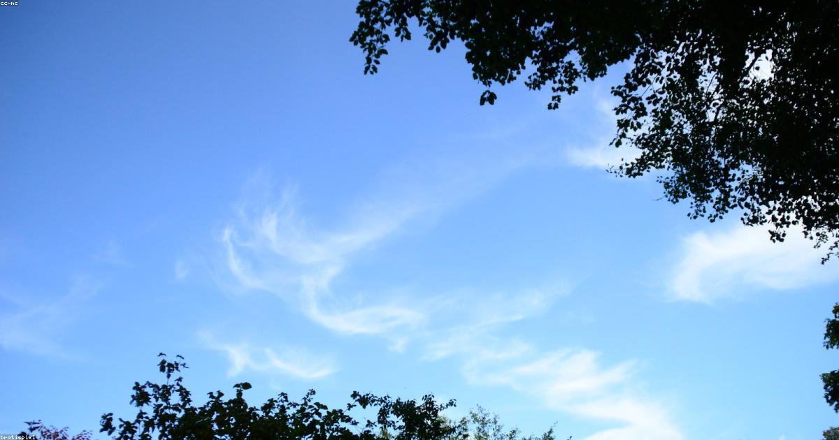 I benefici del nuoto in acque libere: salute e libertà