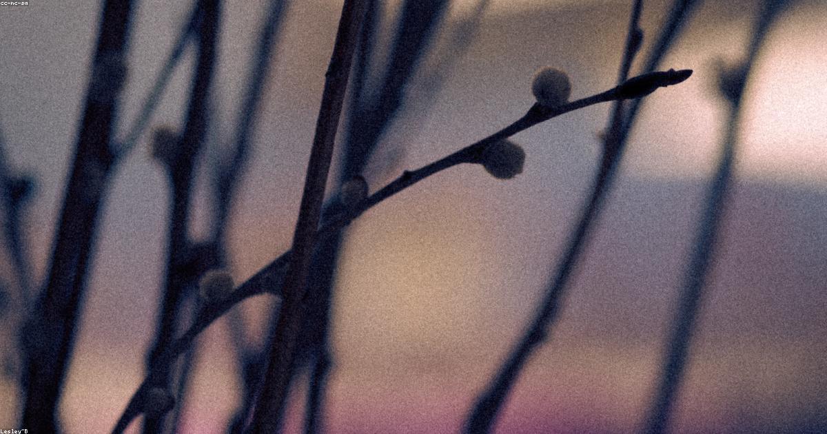 Ritmi del mare: il surf come stile di vita