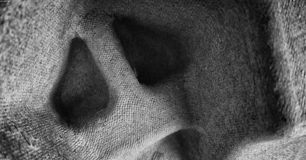 Ritiri yoga al mare: ritrovare se stessi a contatto con l’acqua