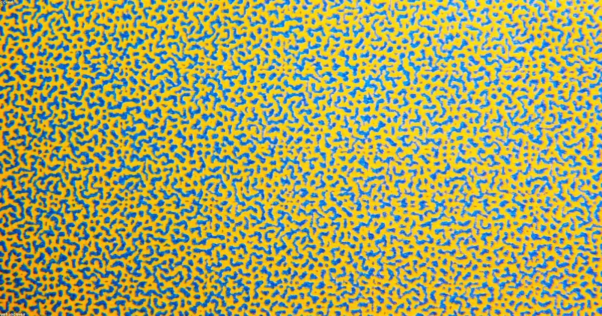 L’importanza della sostenibilità costiera: proteggere il nostro mare