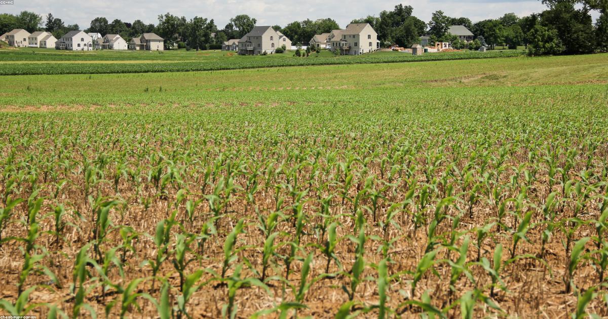 Vivere il surf: comunità e amicizie oltre le onde