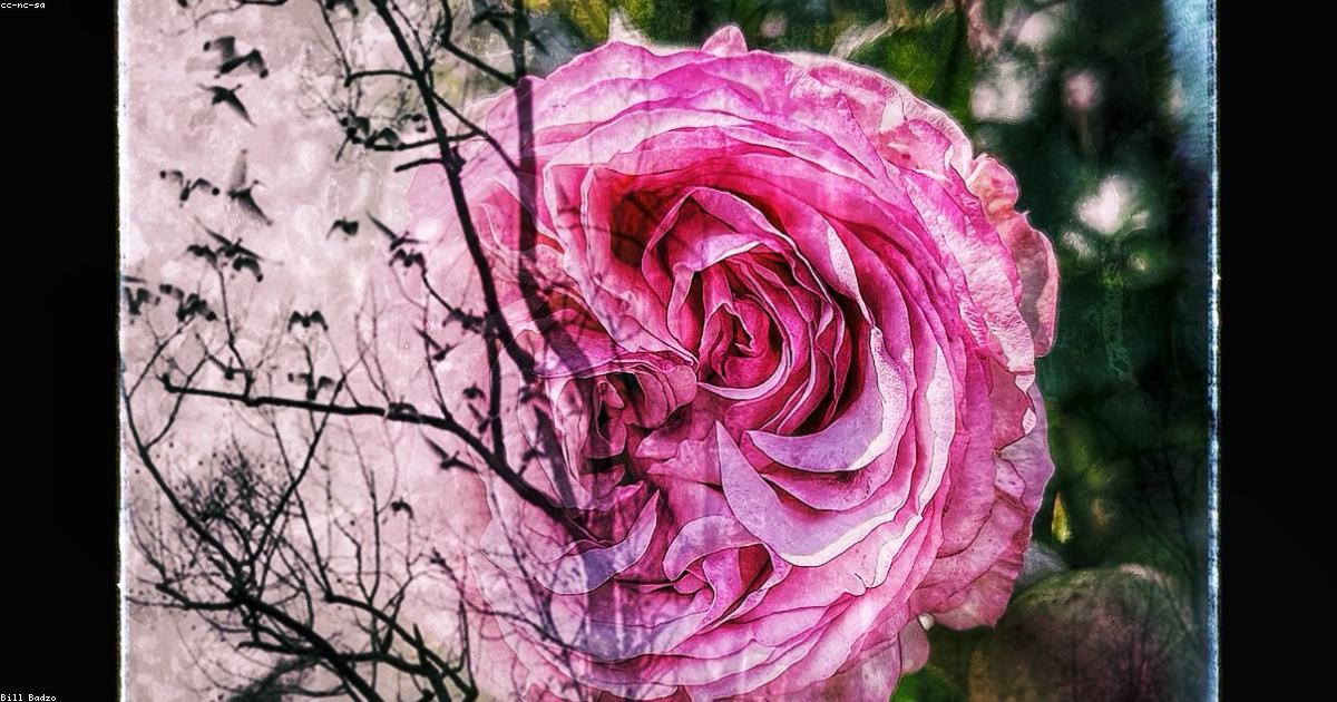 Ritiri di surf e benessere: una pausa rigenerante