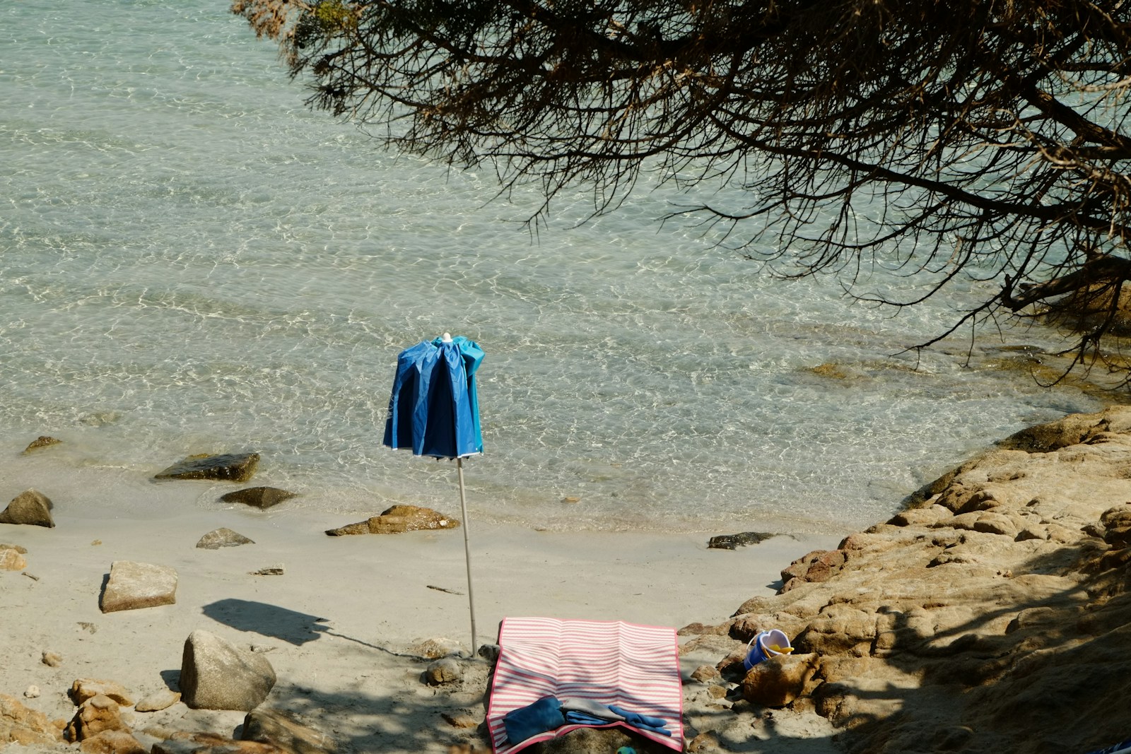 Beach Club di Sardegna: Lo Stato dell’Arte nel 2026