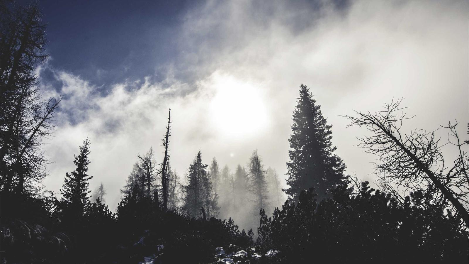L’Etica del Surf Eco: Oltre la Bioresina di Facciata