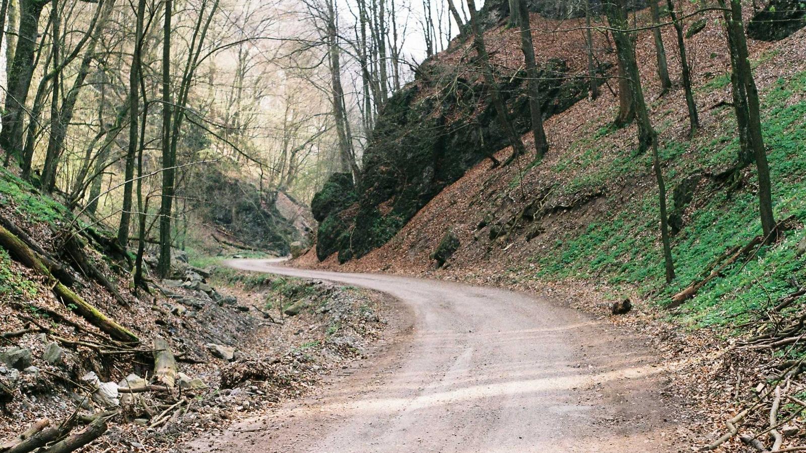 Mute in neoprene riciclato e Yulex appese in una vetrina di un negozio di articoli sportivi