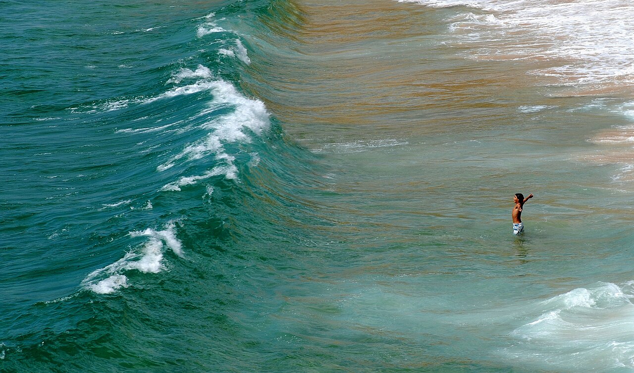 ocean waves (foto: Alvesgaspar / CC BY-SA 3.0, Wikimedia Commons)