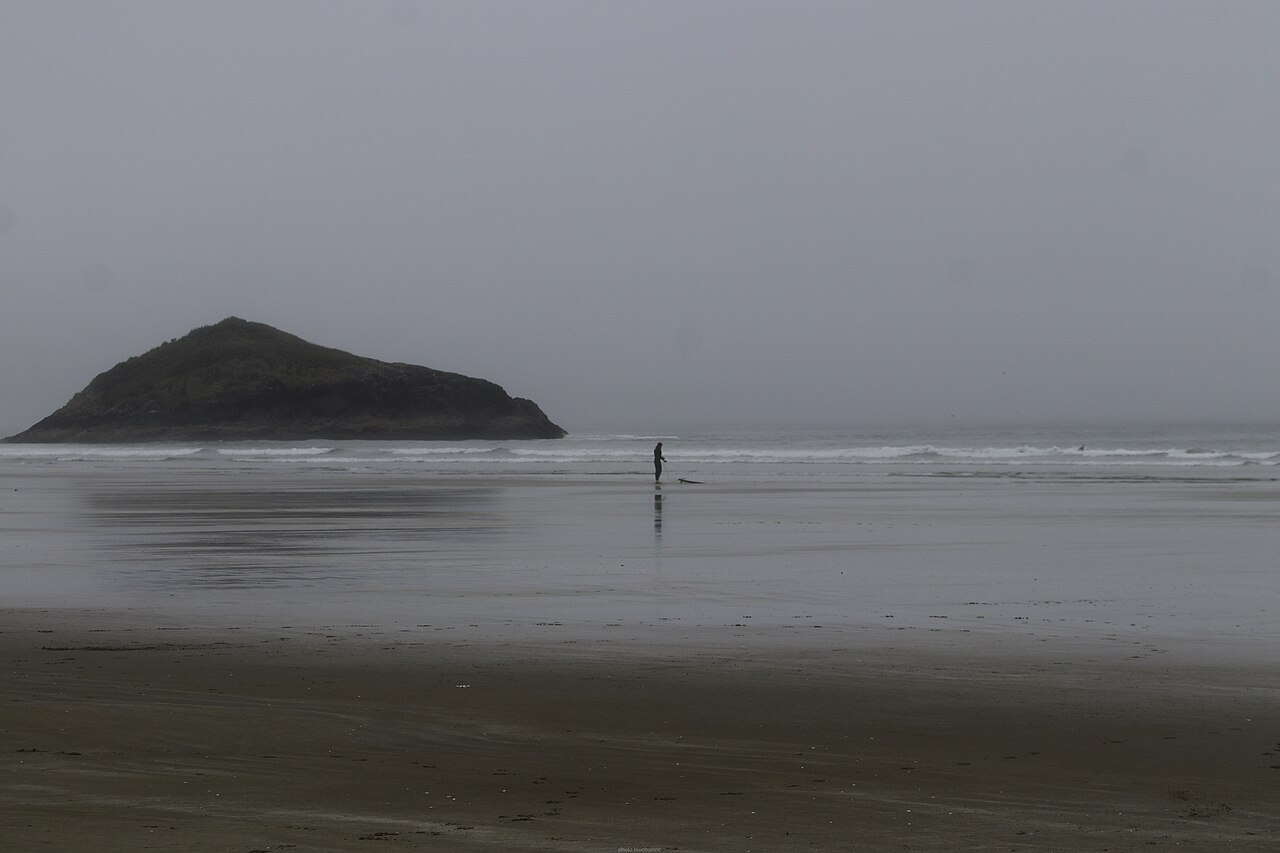 surfer beach (foto: Buiobuione / CC BY-SA 4.0, Wikimedia Commons)