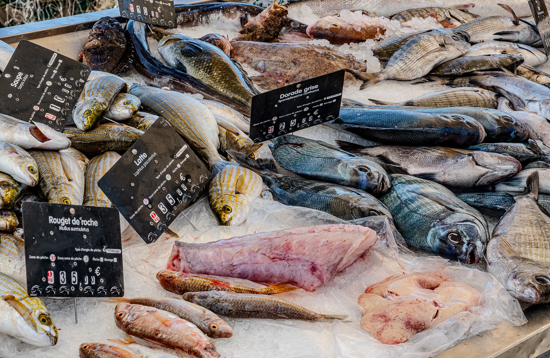 Comprare il pesce all’ora dello sbarco, e cosa chiedere