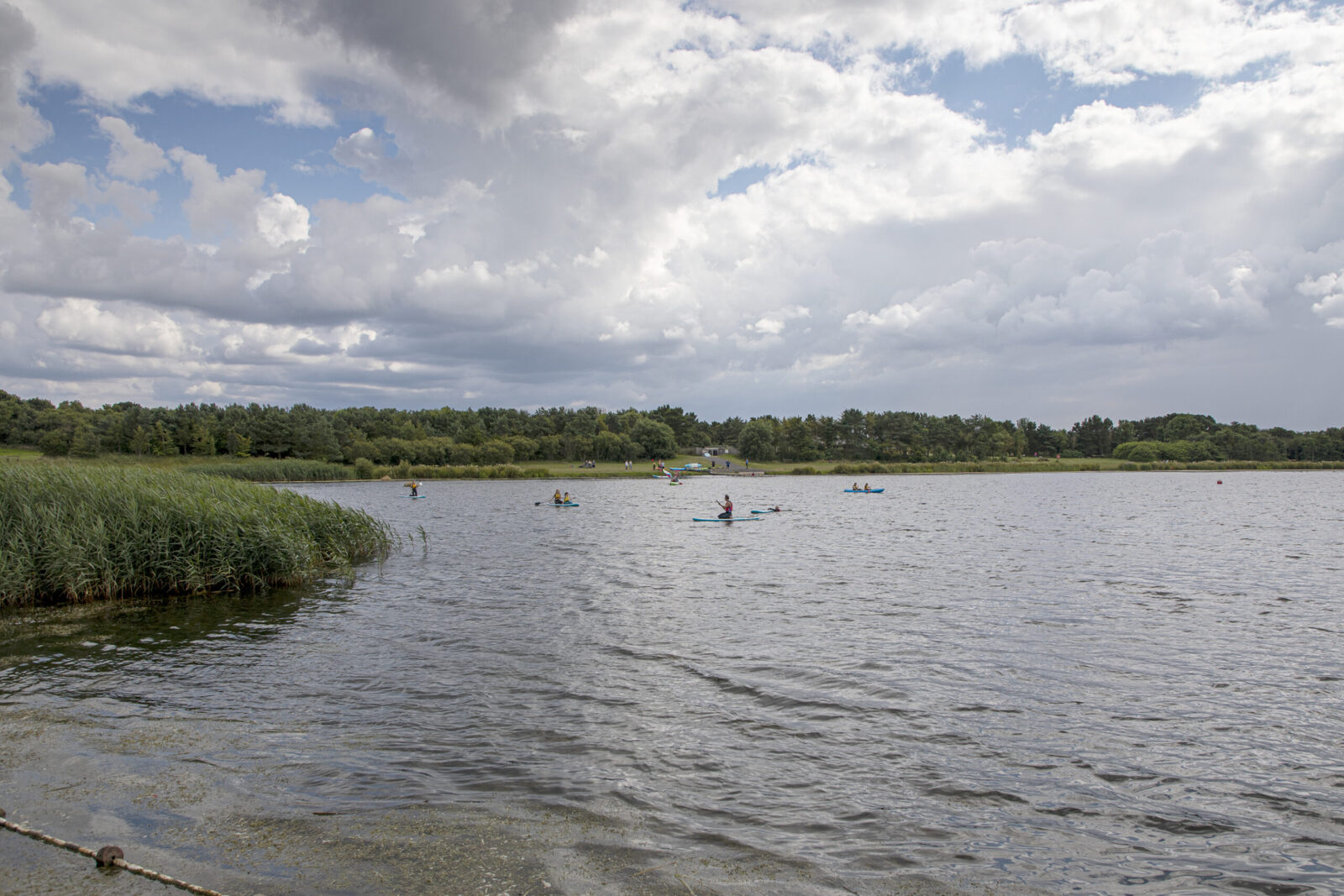 Stand up paddle: guida completa per chi parte da zero