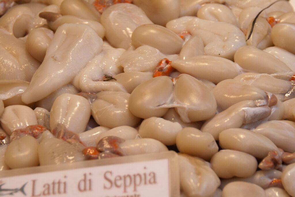 Seppie e moscardini esposti in una cassetta al mercato del pesce