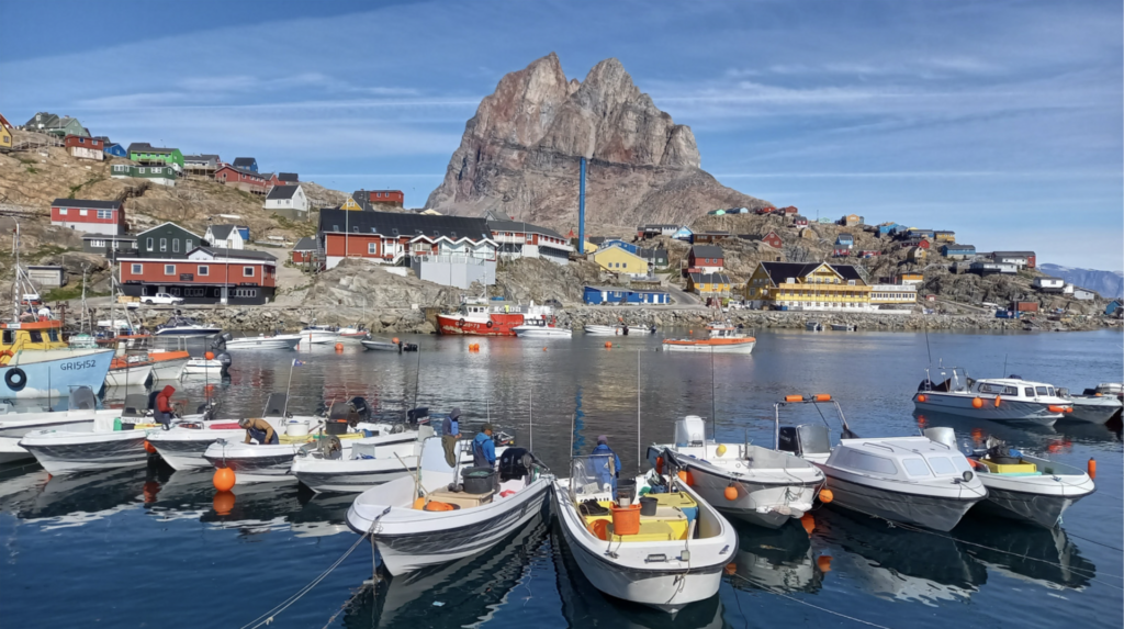 Ami di un palangaro sistemati in una cassetta pronta per essere calata in mare